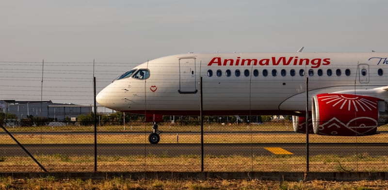 AnimaWings credit: Shutterstock