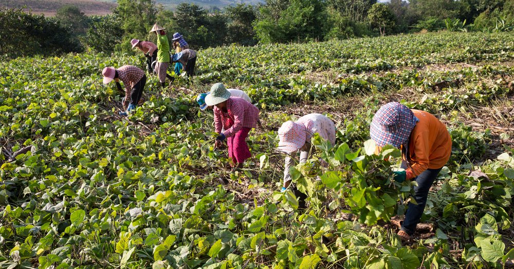 Beyond borders: Why courts must hold companies accountable for migrant worker exploitation