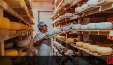 Само в България фалшиво сирене се продава законно