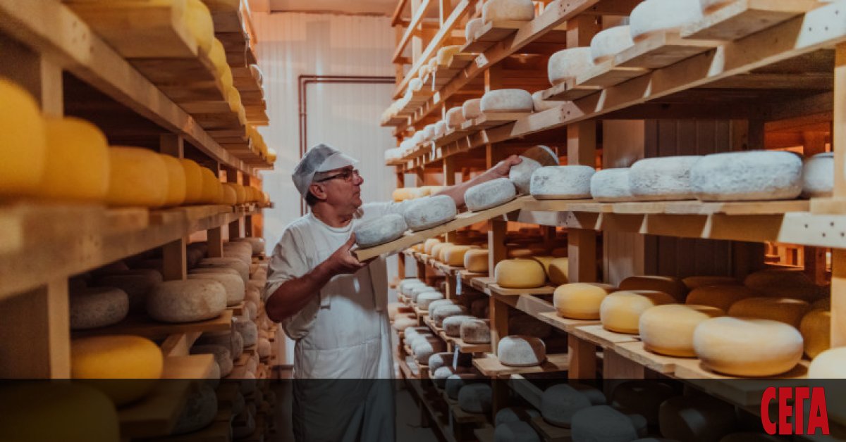 Само в България фалшиво сирене се продава законно