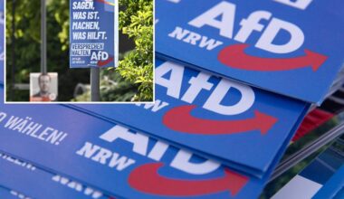 Six candidates from Germany's rightwing AfD party die days apart in lead up to local elections: reports