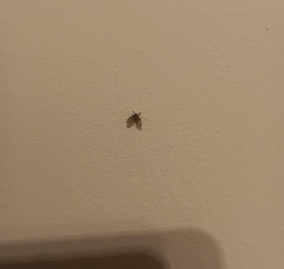 Um was handelt es sich hier?