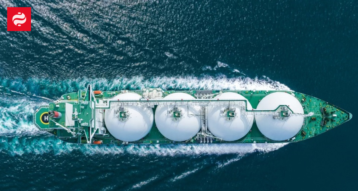 How much LNG Naftogaz imported to Ukraine from the US | Ukrainian News