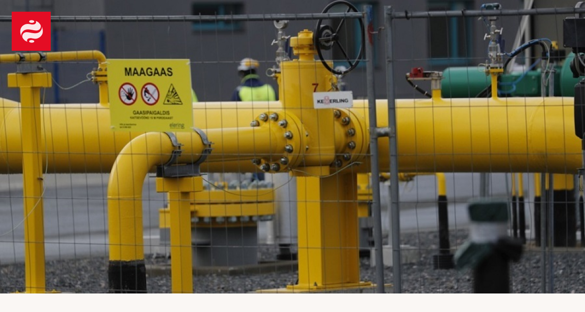 Which EU countries are spending billions on Russian LNG | Ukrainian News