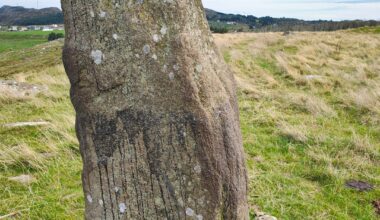 Fertility symbols from the bronze age