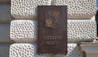 Jsem právníkem a členem politické strany Volt, který spolupracoval na ústavních stížnostech vůči SPD a Stačilo! ohledně obcházení zákona, AMA.