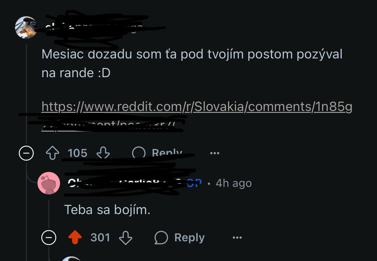 Seznamovani na redditu 2025