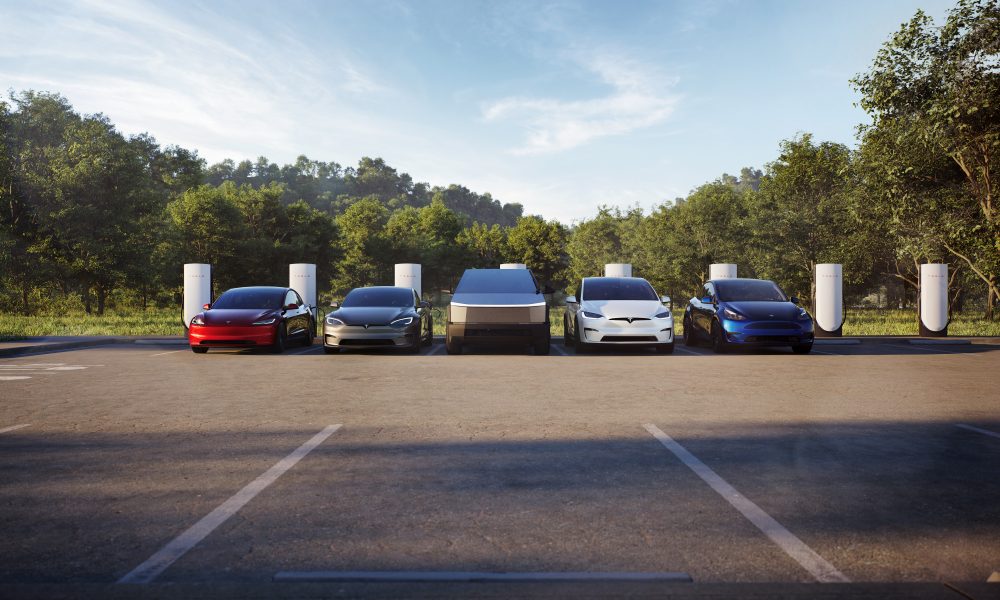 Tesla called 'biggest meme stock we've ever seen' by Yale associate dean