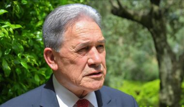 'Day of Shame': New Zealand draws criticism for not recognizing Palestine