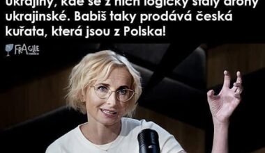 Má pravdu, já jsem to kuře