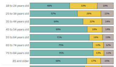 U.S. Voter Turnout in the 2024 Presidential Election by Age Group [OC]