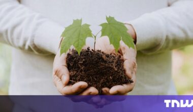 why the climate transition is now in our hands