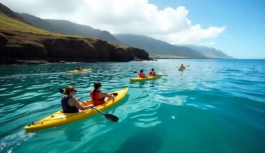 Tourism,growth,hawai‘i