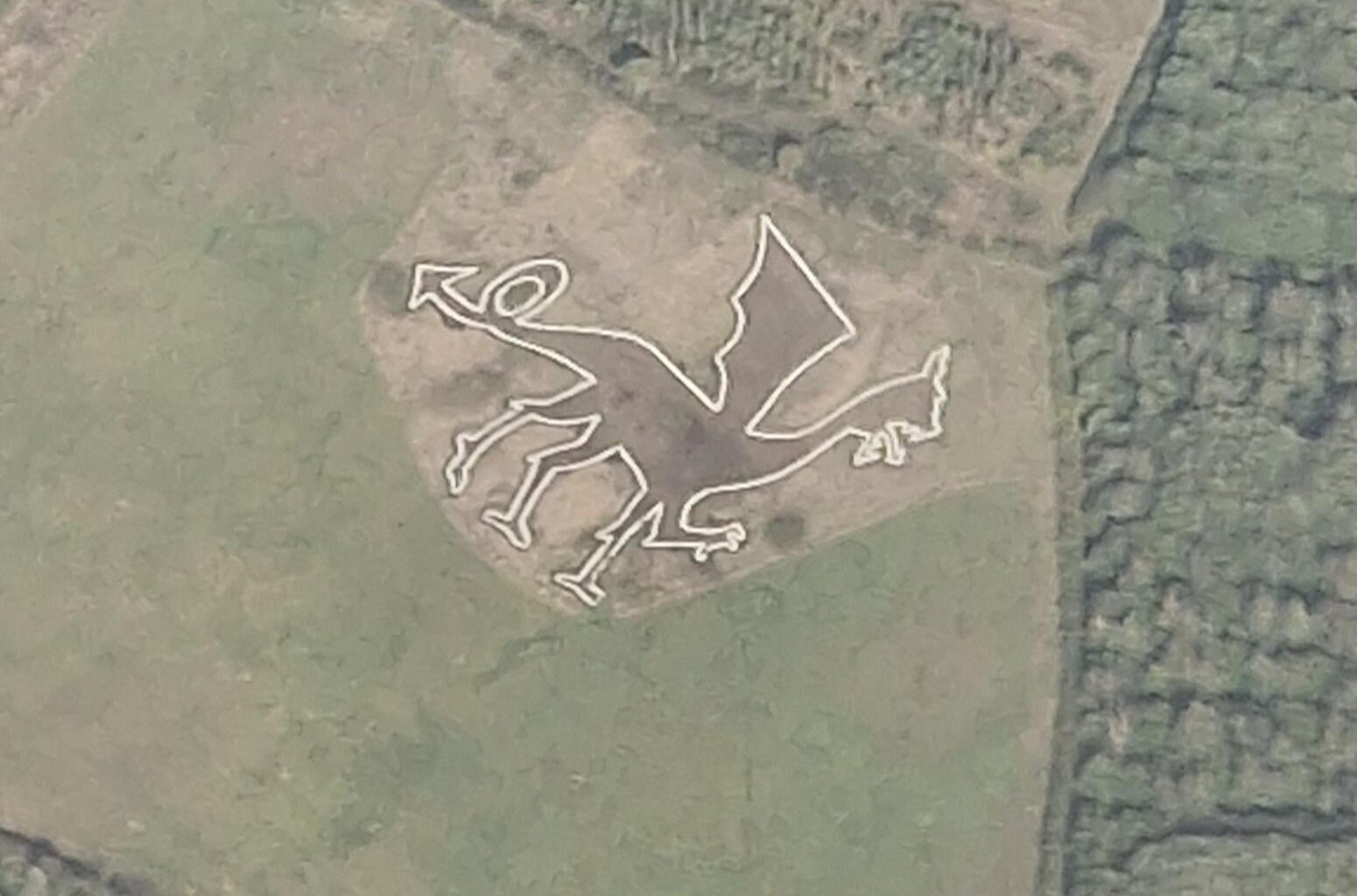 Was a nice surprise to see this guy in a field during my flight home today.