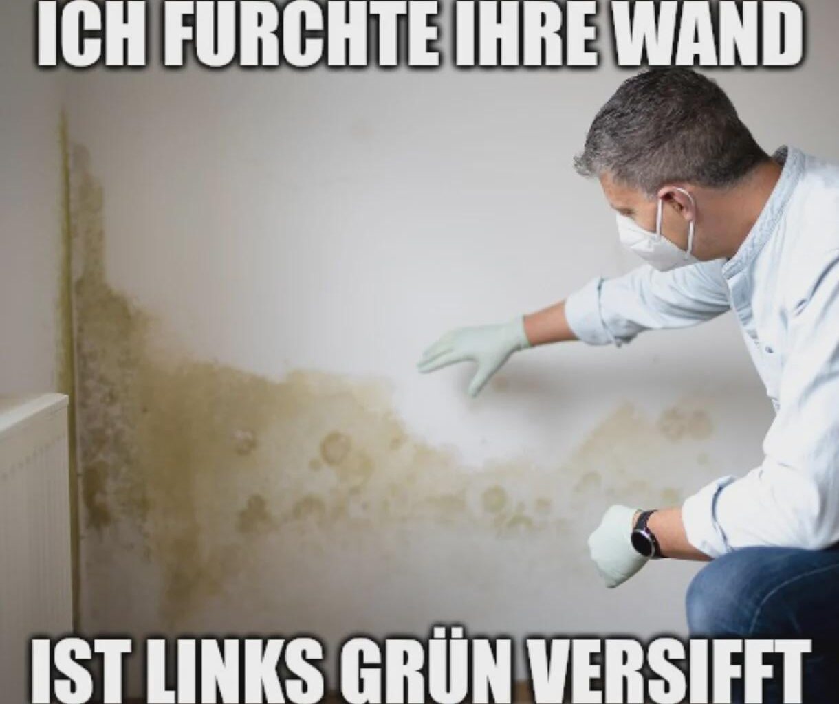 ich💚iel