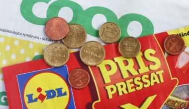 Sverige halverer momsen på fødevarer [Fra 12% til 6%]