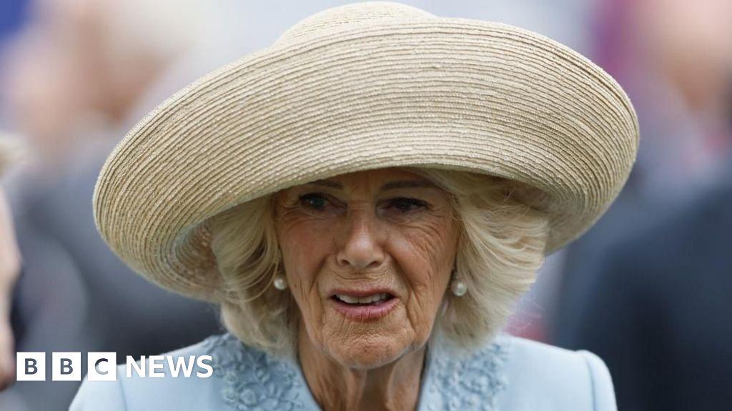 Camilla fought off attempted indecent assault as teenager, book says