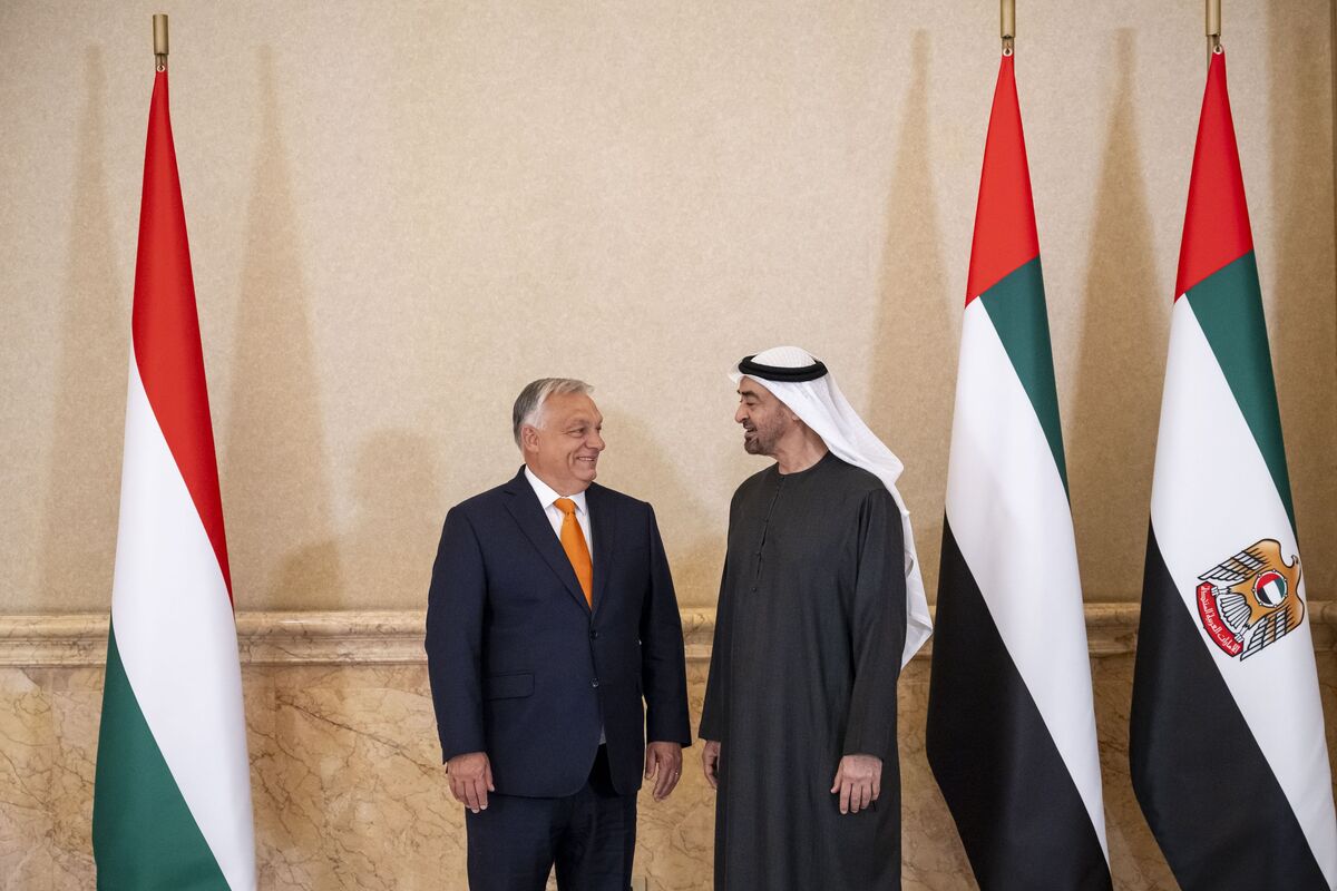 UAE President and Hungary's PM meet to discuss cooperation in trade, technology, and renewable energy