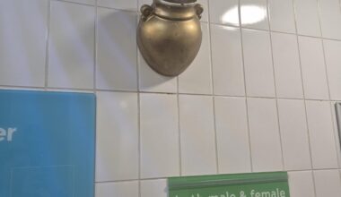 What exactly is this thing on the wall in the women's toilets in Heston service station?
