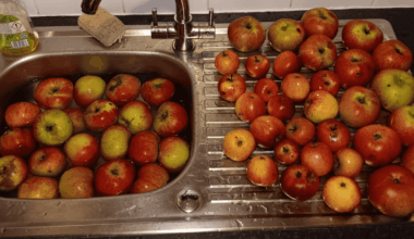 Anybody else own Apple trees?