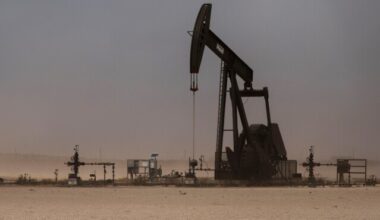 Environmental Groups Appeal Loss of Oil Field Bird’s Protection