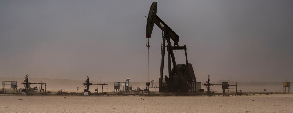 Environmental Groups Appeal Loss of Oil Field Bird’s Protection
