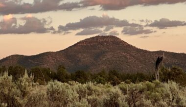 Interior Proposes to Scrub Biden-Era Land Conservation Rule