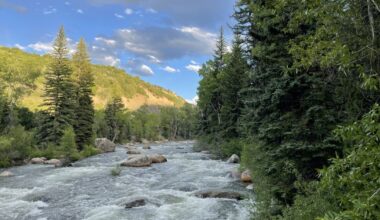 Two hundred fish died in Grizzly Reservoir from toxic metals. Climate change is to blame.