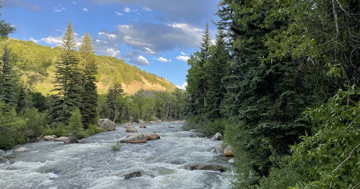 Two hundred fish died in Grizzly Reservoir from toxic metals. Climate change is to blame.