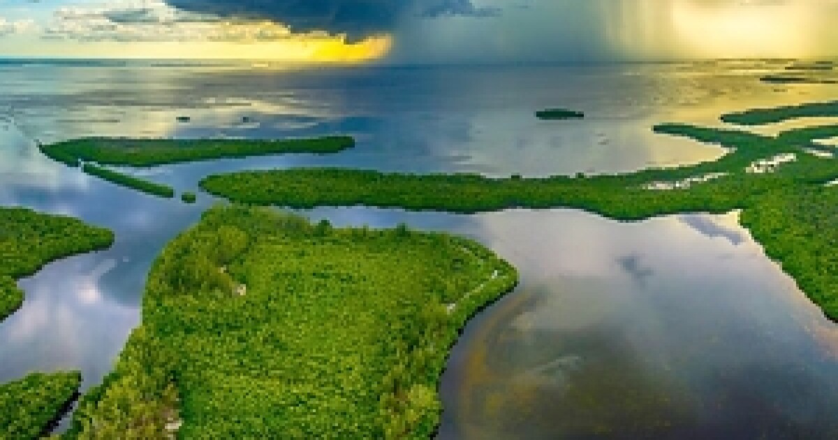 Charlotte Harbor-based estuary program hosting climate change summit