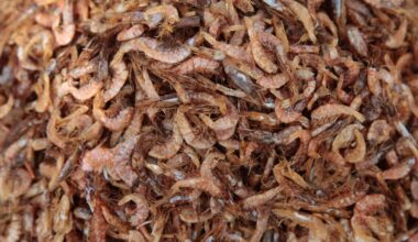 Trump tariffs skewer India's shrimp exports : NPR