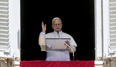 Pope demands end to the 'pandemic of arms' after Minnesota school shooting
