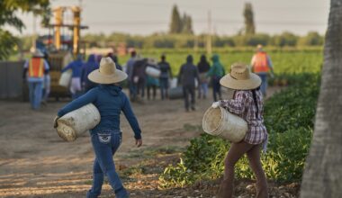 US labor force lost 1.2M immigrants, preliminary data shows
