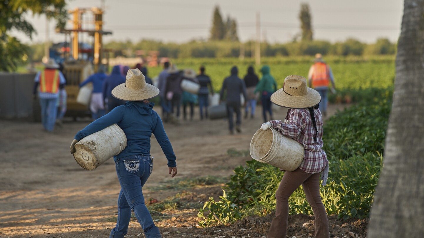 US labor force lost 1.2M immigrants, preliminary data shows