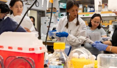 Federal judge orders Trump to restore $500 million in frozen UCLA medical research grants