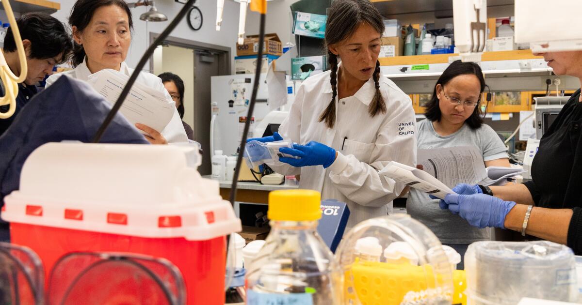 Federal judge orders Trump to restore $500 million in frozen UCLA medical research grants