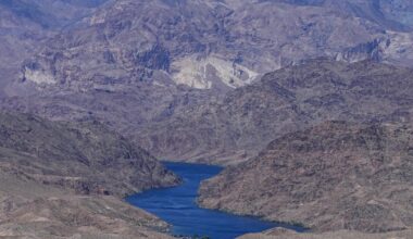 'Sacrificed on altar of political expediency': nominee on withdrawal during critical water talks