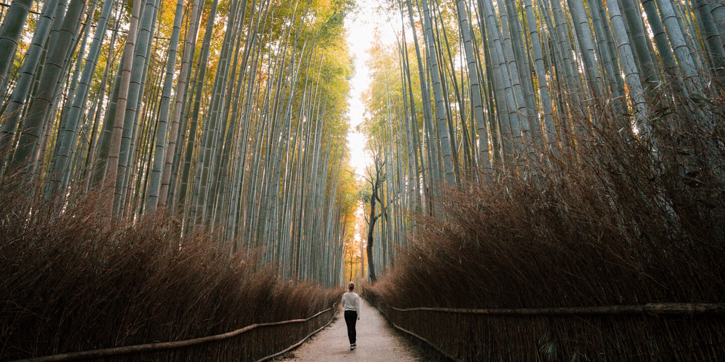 12 Days in Japan with Food, Culture, and Hot Springs