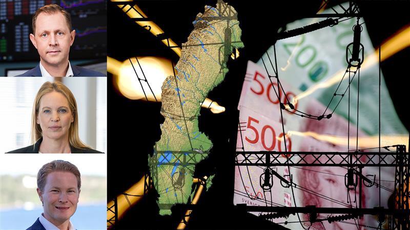 Därför väntar historiskt höga elpriser i vinter – kan bestå i flera år: ”Sinnessjukt”