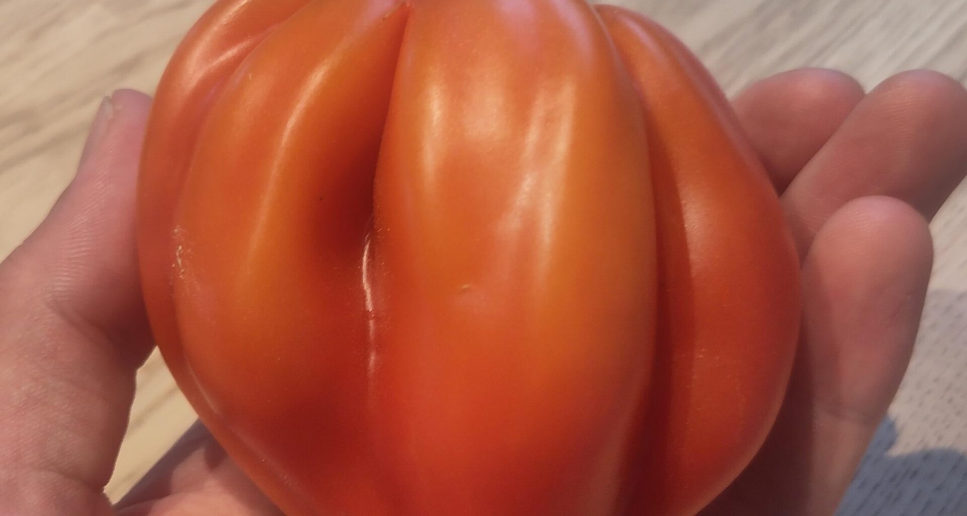 Tomatensorte