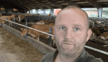 Landmand tjener 40 % mere på oksekød. Godt for ham. KAN VI SÅ endelig stoppe med at give danske afgifter skylden for kødpriserne