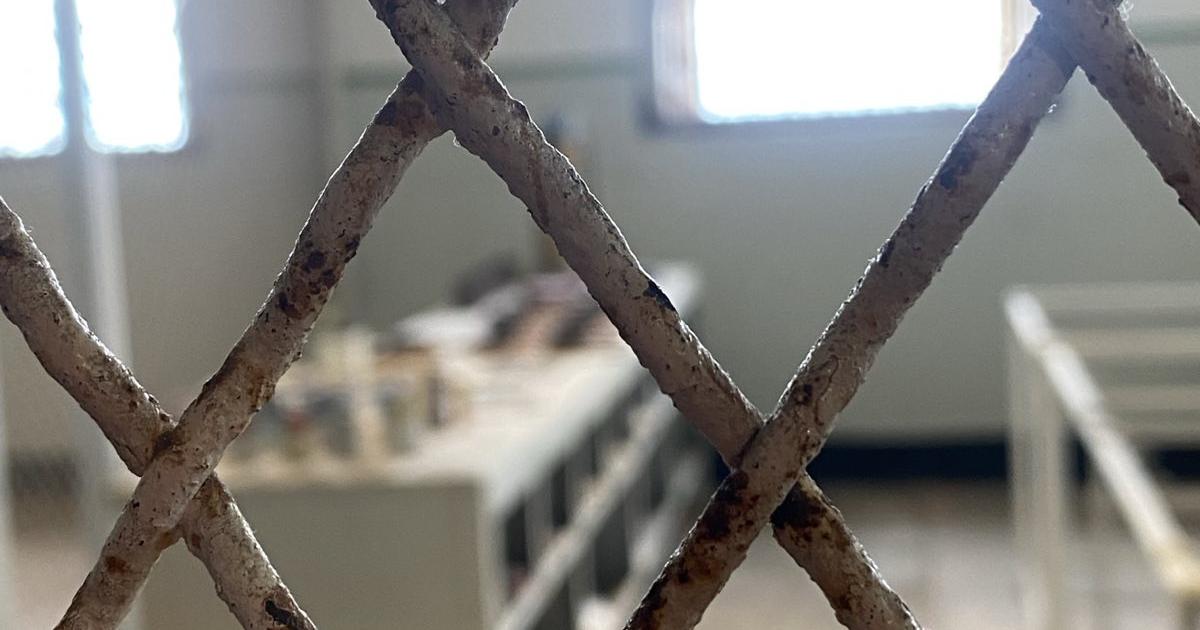 Deported Without Due Process: How Border Militarization Undermines Constitutional and Human Rights 