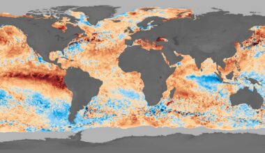The ocean carbon sink is ailing: 10% drop in CO₂ absorption seen during record 2023 marine heat wave