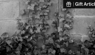 We Are Watching a Scientific Superpower Destroy Itself