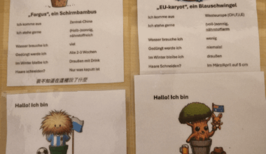 Ich habe noch ein paar Pflegehinweise für meine Pflanzen laminiert.