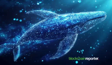 Smart Whale Holds $9 Million Unrealized Profit As Leveraged Long Bets On BTC, DOGE, PEPE, FARTCOIN See Bullish Momentum