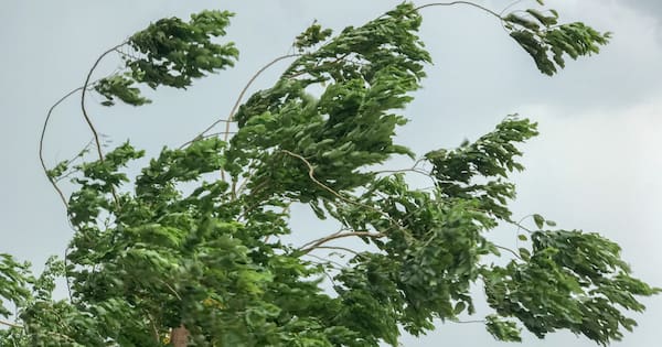 Swathe of weather watches and warnings issued in the South Island