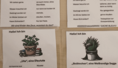 Mein Laminiergerät kommt einfach nicht zur Ruhe.