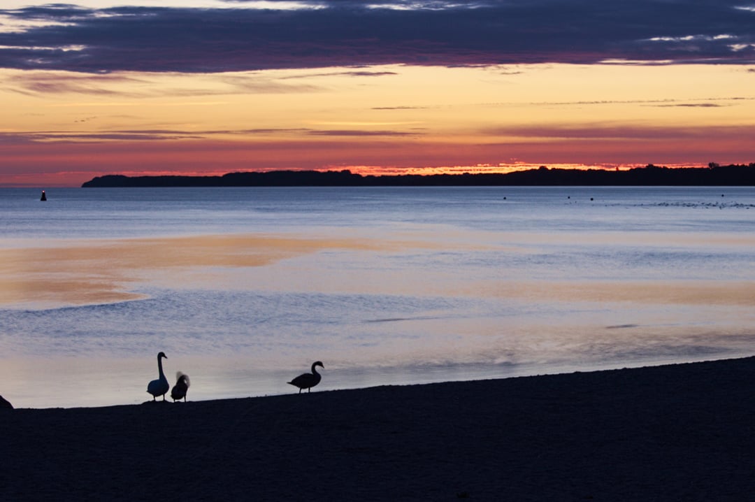 Küstenlandschaft Travemünde [OC]