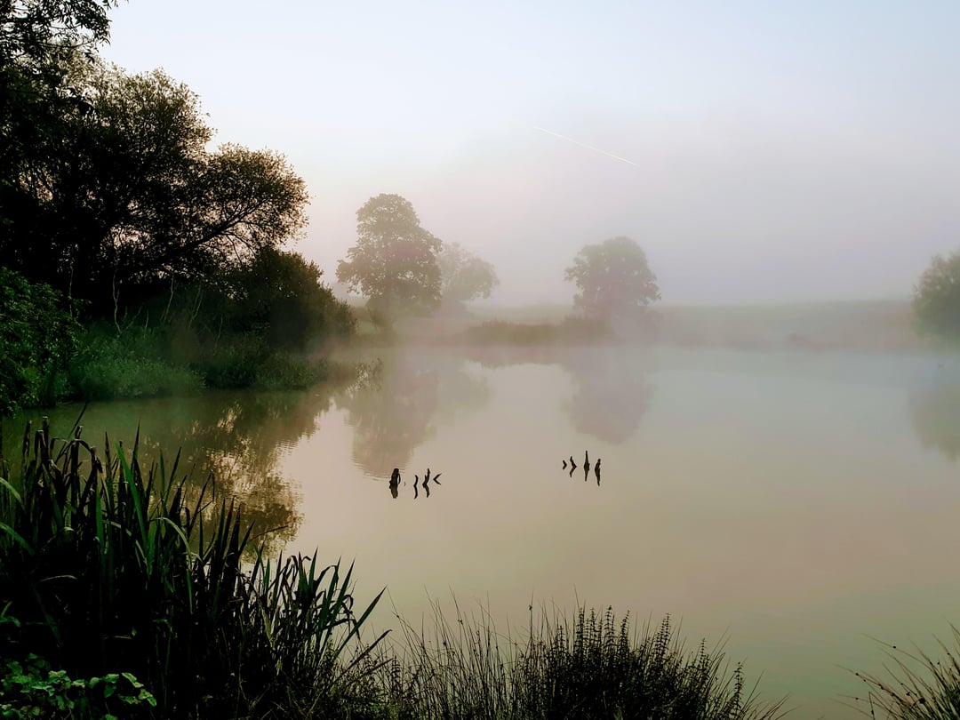 Some photos I've taken over the years that feel Deep England-y